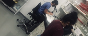 Students looking in lab microscopes