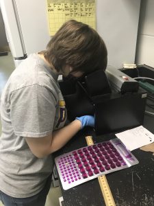 Amanda Stickney analyzes samples at the ERIC lab.