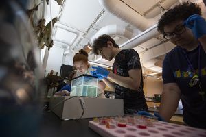 High school students Maya Dawson, left, Joel Christensen and Zoe Mauk work on a water flea toxicity experiment. (UW-Whitewater photos/Craig Schreiner)