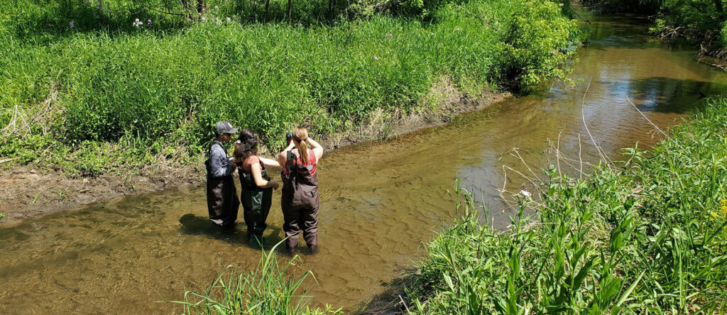 Undergraduates in the western Wisconsin advanced fieldwork course conduct survey work in the Kinnickinnic River in River Falls.