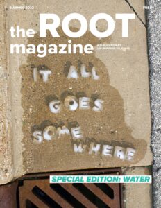 cover of ROOT magazine
